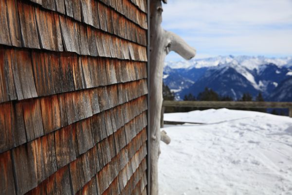 Cedar Siding Repair in Richmond