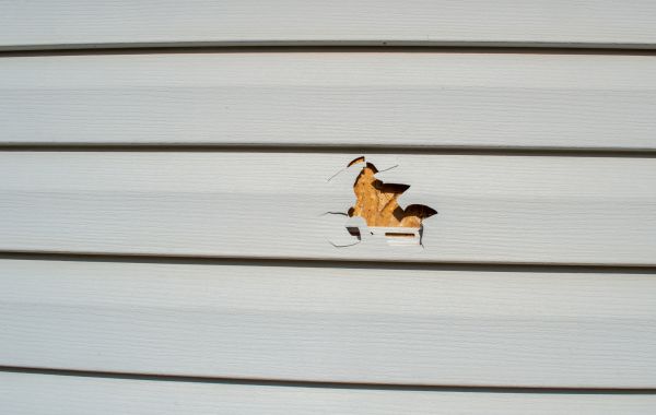 Siding Hole Repair in Richmond
